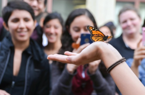 Las mariposas monarcas son una metáfora del Jardín del Patrimonio de la UIC