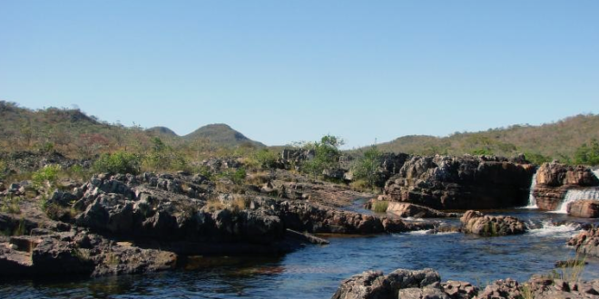 La Reserva de la Mariposa Monarca de México y el Cerrado de Brasil se