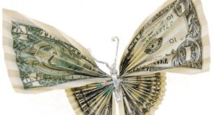 El Efecto Mariposa en el trading descubre su significado
