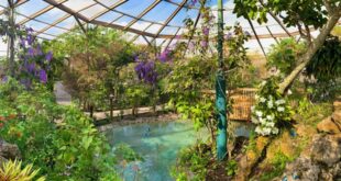Como llegar hasta el Butterfly World en la Florida