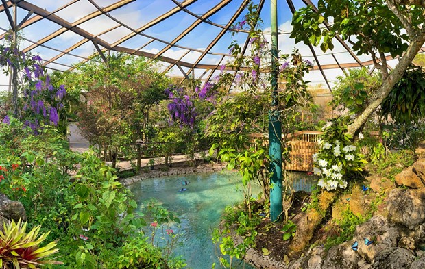 Como llegar hasta el Butterfly World en la Florida