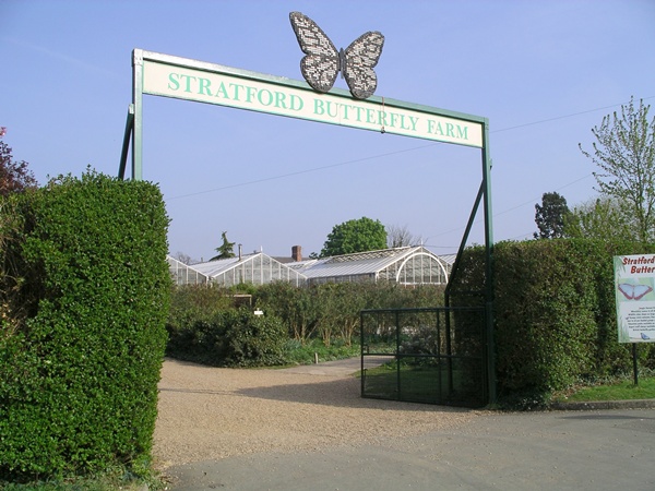 El Stratford Butterfly Farm, que abrió en 1985 El Stratford Butterfly Farm, que abrió en 1985